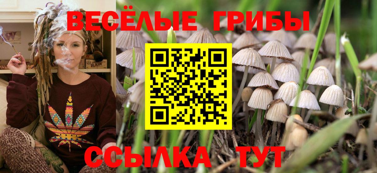 Галлюциногенные грибы MAGIC MUSHROOMS  купить  сайты  Вход с VPN  Арсеньев  Галлюциногенные грибы Cubensis 